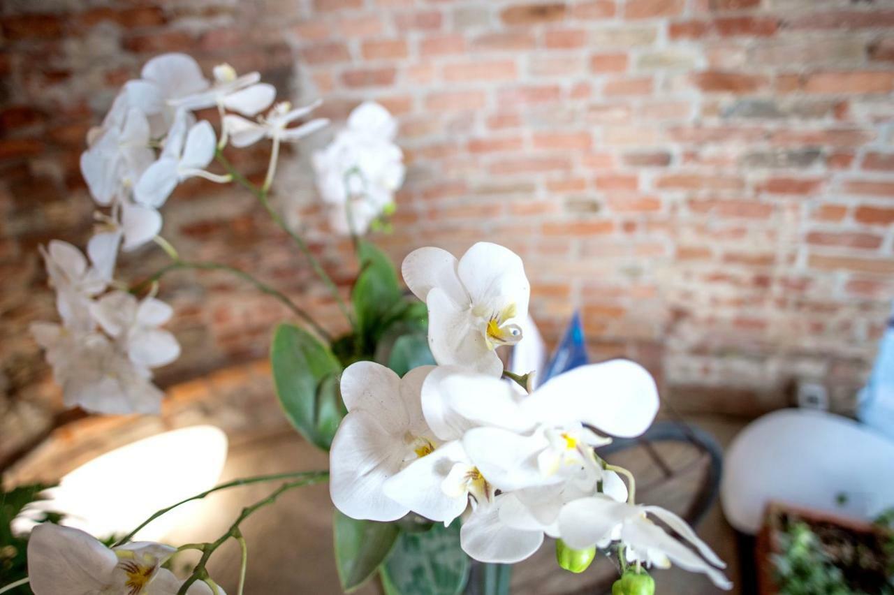 La Canonica - Charming Self-Catering Apartments In Nizza Monferrato Luaran gambar